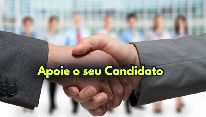 frases para elogiar um vereador